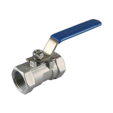 一片式内乐动（中国）